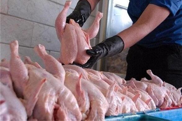 زور مرغداران به اتحاد فروشندگان چربید ، مرغ خیال ارزانی ندارد