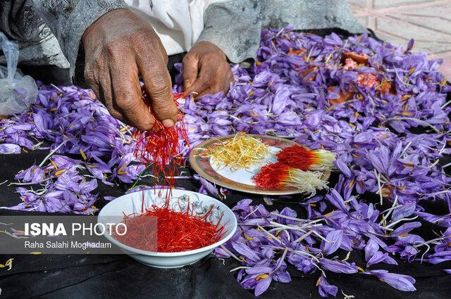 کشف 3000 بسته زعفران تقلبی در شاهین شهر کشف 3000 بسته زعفران تقلبی در شاهین شهر