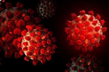 شناسایی دو نوع متفاوت از ویروس کرونا در آمریکا