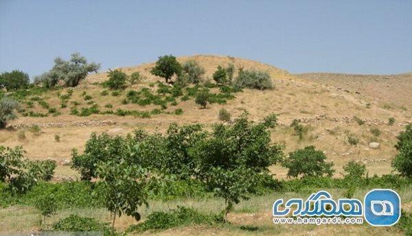 ابلاغ ثبت ملی 6 محوطه فرهنگی تاریخی به استاندار چهارمحال ابلاغ ثبت ملی 6 محوطه فرهنگی تاریخی به استاندار چهارمحال و بختیاری